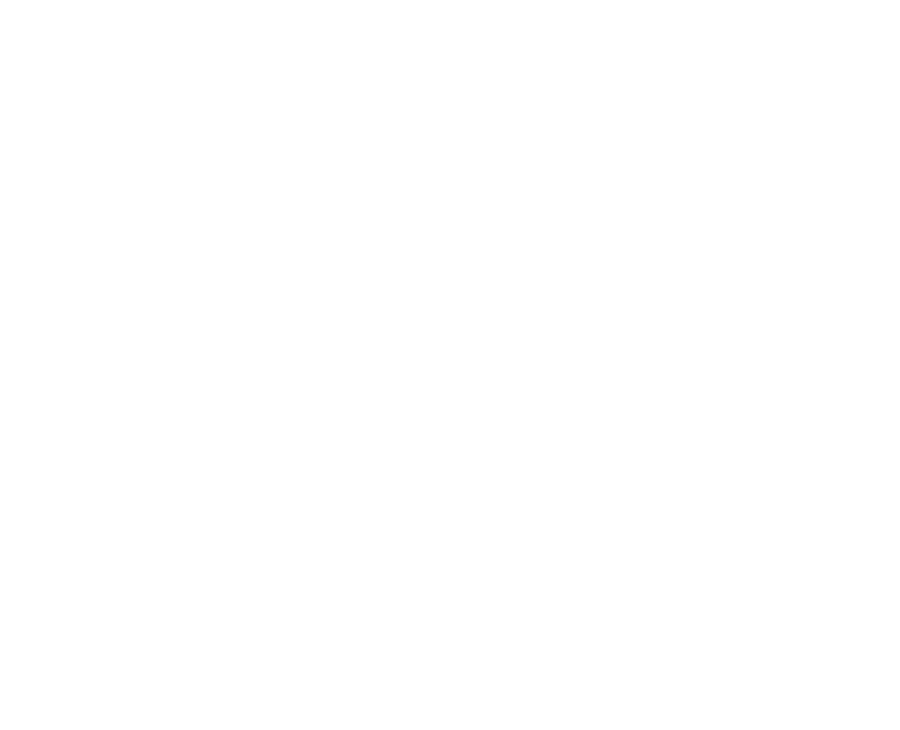 Maya Marine Denizcilik